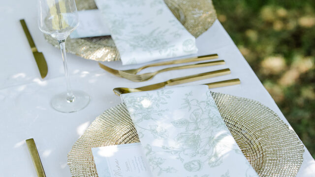 Ryan and Brianne Wedding