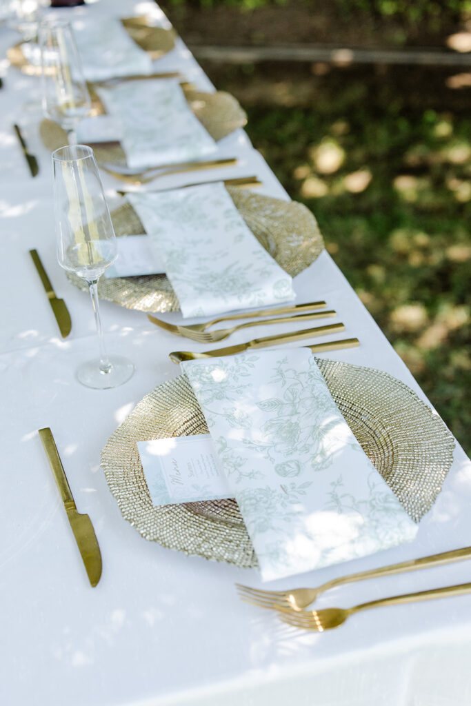 Ryan and Brianne Wedding