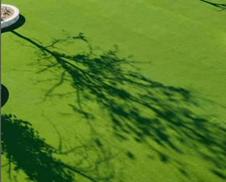 California-Turf-Concepts