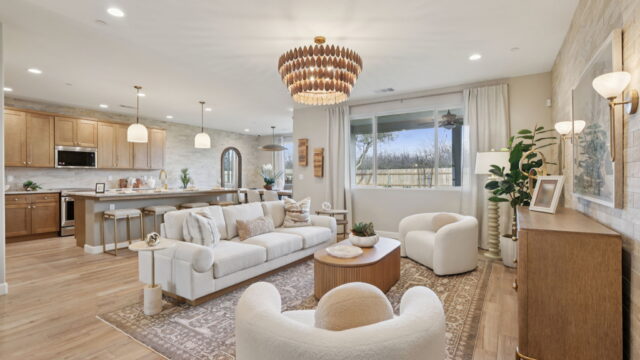 Living-Room-1